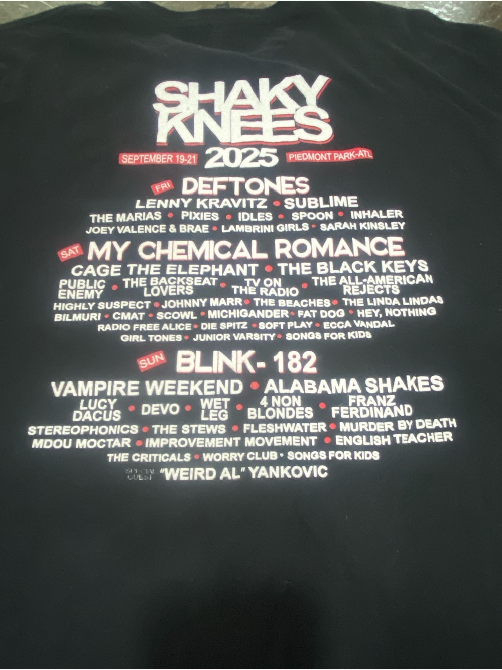 Original 2025 Shaky Knees Music Festival Official Lineup Concert T-Shirt 2XL - Picture 3 of 4